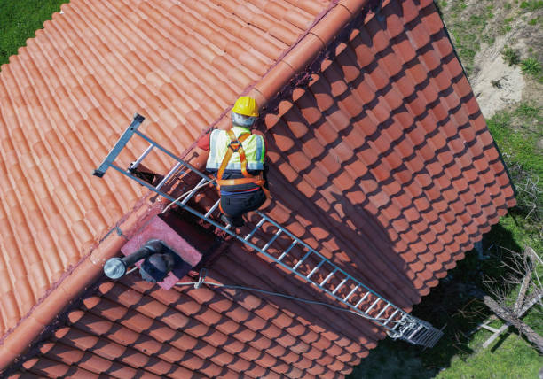 Best Steel Roofing  in Cloverport, KY